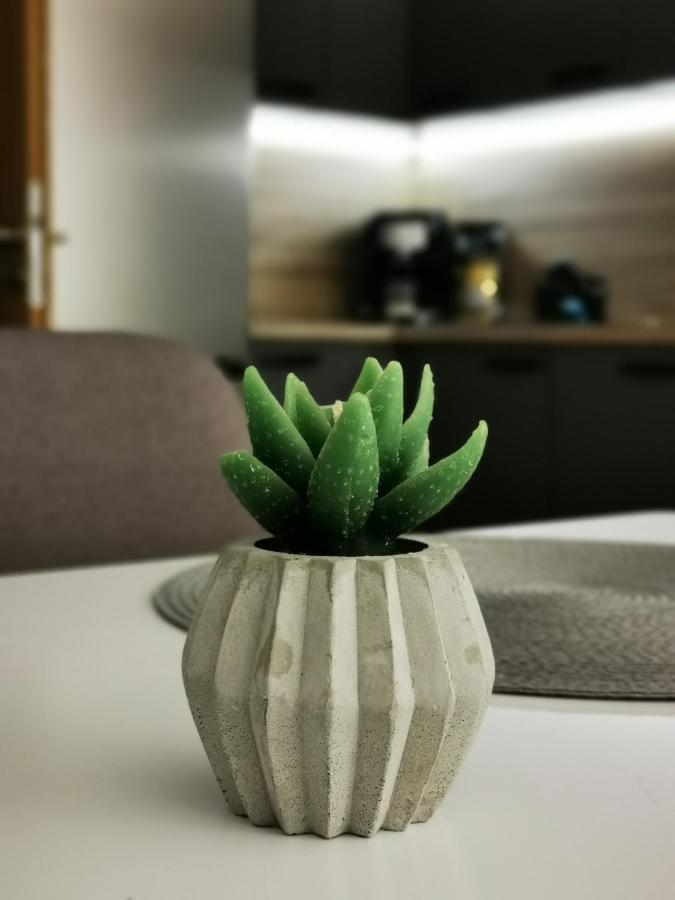 Apartman Mlynska Strouha بلزن المظهر الخارجي الصورة